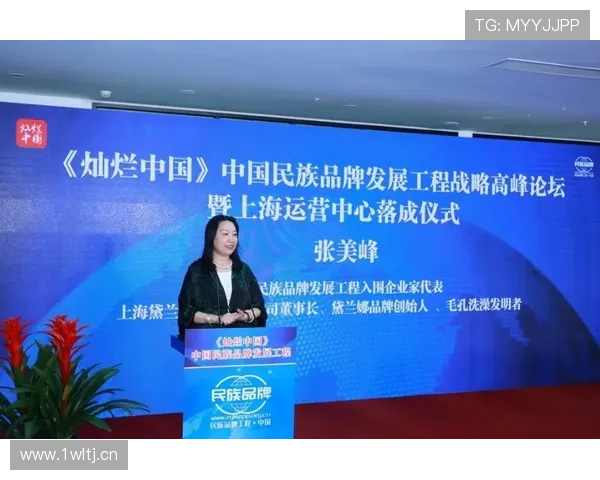 以企业家誓言凝聚创新力量共筑可持续高质量发展未来愿景宏图蓝图